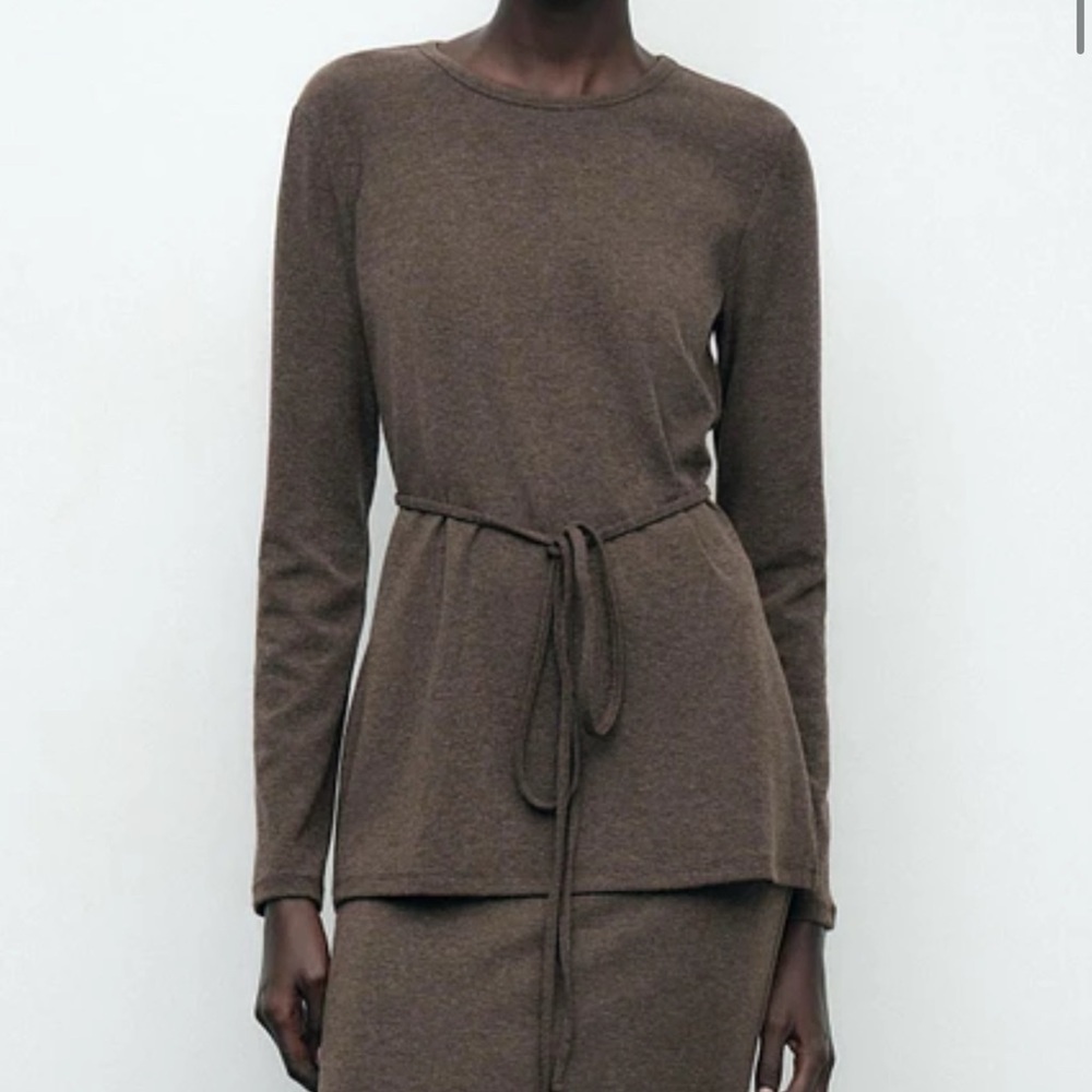 Zara Brown Crew Neck Sweater Size M